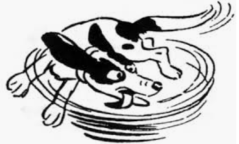 Screen Shot 2019-06-30 at 12.16.04 PM.png